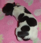 Enlarge photo 4