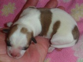 Enlarge photo 7