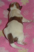 Enlarge photo 3