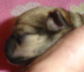 Enlarge photo 2