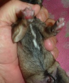 Enlarge photo 3