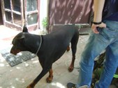 Enlarge photo 19