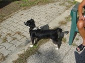 Enlarge photo 10