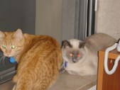 Enlarge photo 24