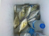 Enlarge photo 19