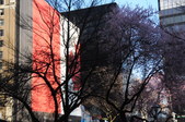 Enlarge photo 35