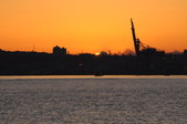Enlarge photo 85