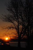 Enlarge photo 88