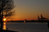 Enlarge photo 99