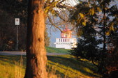 Enlarge photo 106