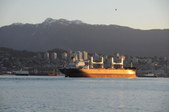 Enlarge photo 107