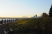 Enlarge photo 115