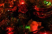 Enlarge photo 27