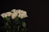 Enlarge photo 64