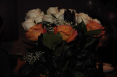 Enlarge photo 81