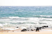 Enlarge photo 62