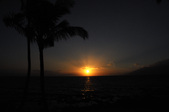 Enlarge photo 113