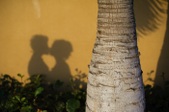 Enlarge photo 369