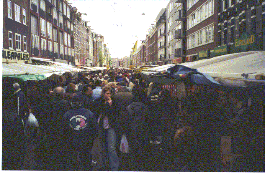 Enlarge photo 41