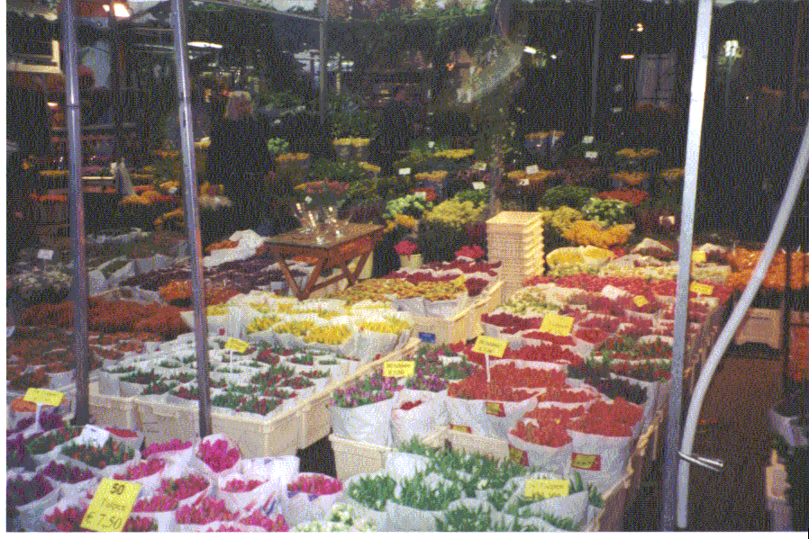Enlarge photo 71