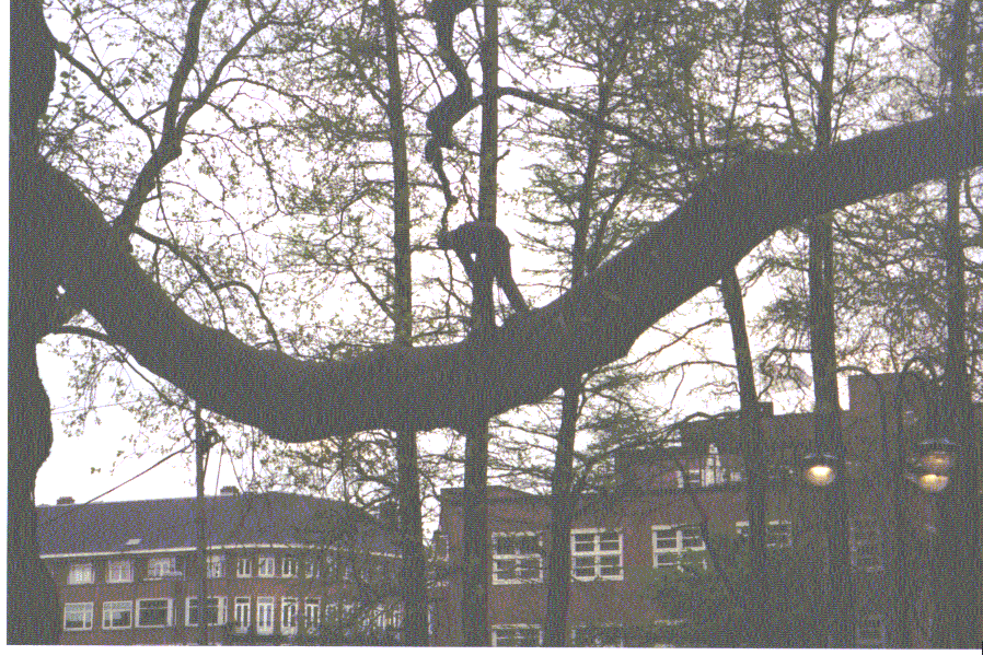 Enlarge photo 52