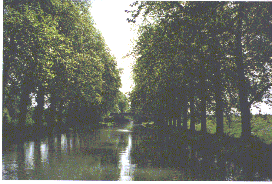 Enlarge photo 18