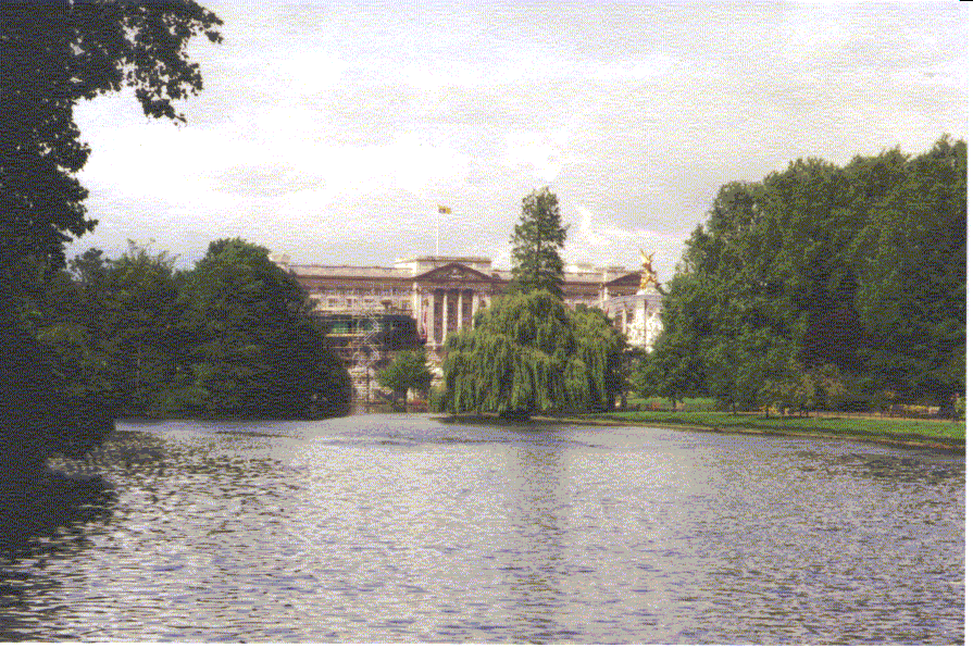 Enlarge photo 81