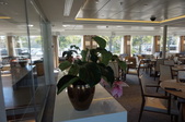 Enlarge photo 111