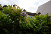 Enlarge photo 134