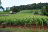 Enlarge photo 152