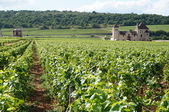 Enlarge photo 202