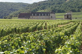 Enlarge photo 203
