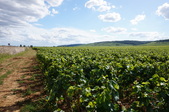 Enlarge photo 209