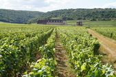 Enlarge photo 211