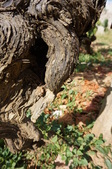 Enlarge photo 213