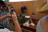 Enlarge photo 14