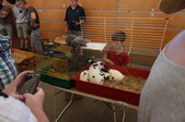 Enlarge photo 16
