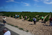 Enlarge photo 30