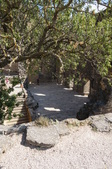 Enlarge photo 44