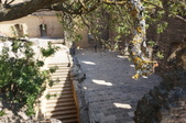 Enlarge photo 46