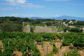 Enlarge photo 48