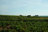 Chateau Ravatys & Beaujolais Region