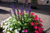 Enlarge photo 31