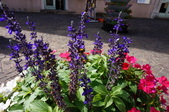 Enlarge photo 32