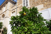 Enlarge photo 37