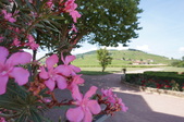 Enlarge photo 51