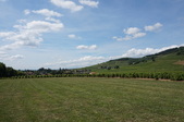Enlarge photo 53