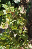 Enlarge photo 56