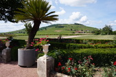 Enlarge photo 66