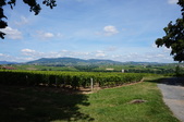 Enlarge photo 67